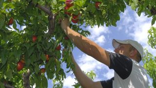 Il est recommandé aux employeurs d’aménager les horaires de leurs salariés en cas de fortes chaleurs. © Stéphane Leitenberger